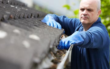 cleaning and inspecting Hope Green roofs